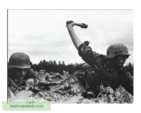 丹兹林根遭普福尔茨海姆横扫零比五详细回顾与战术分析